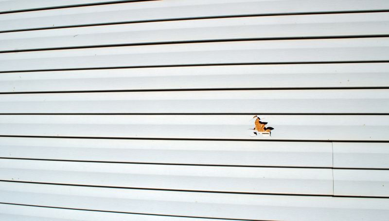 Patch Installation on Vinyl Siding